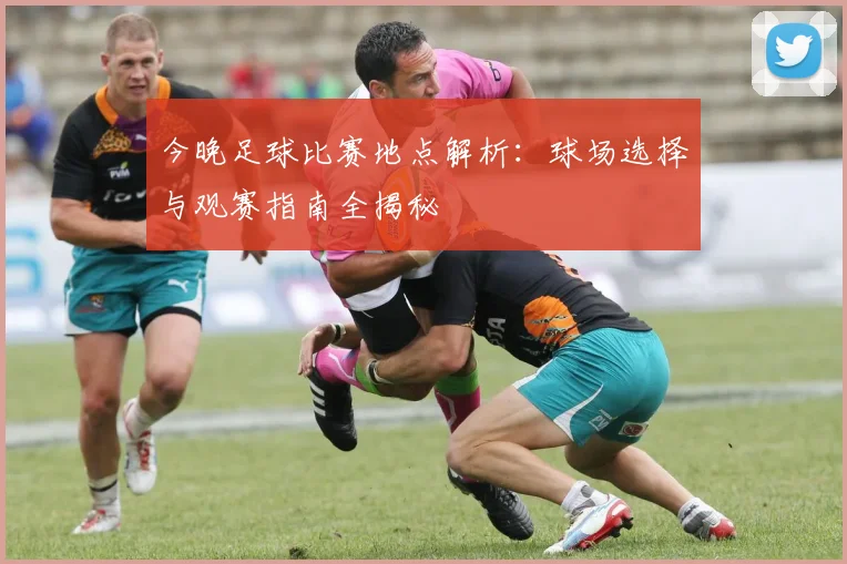 今晚足球比赛地点解析：球场选择与观赛指南全揭秘